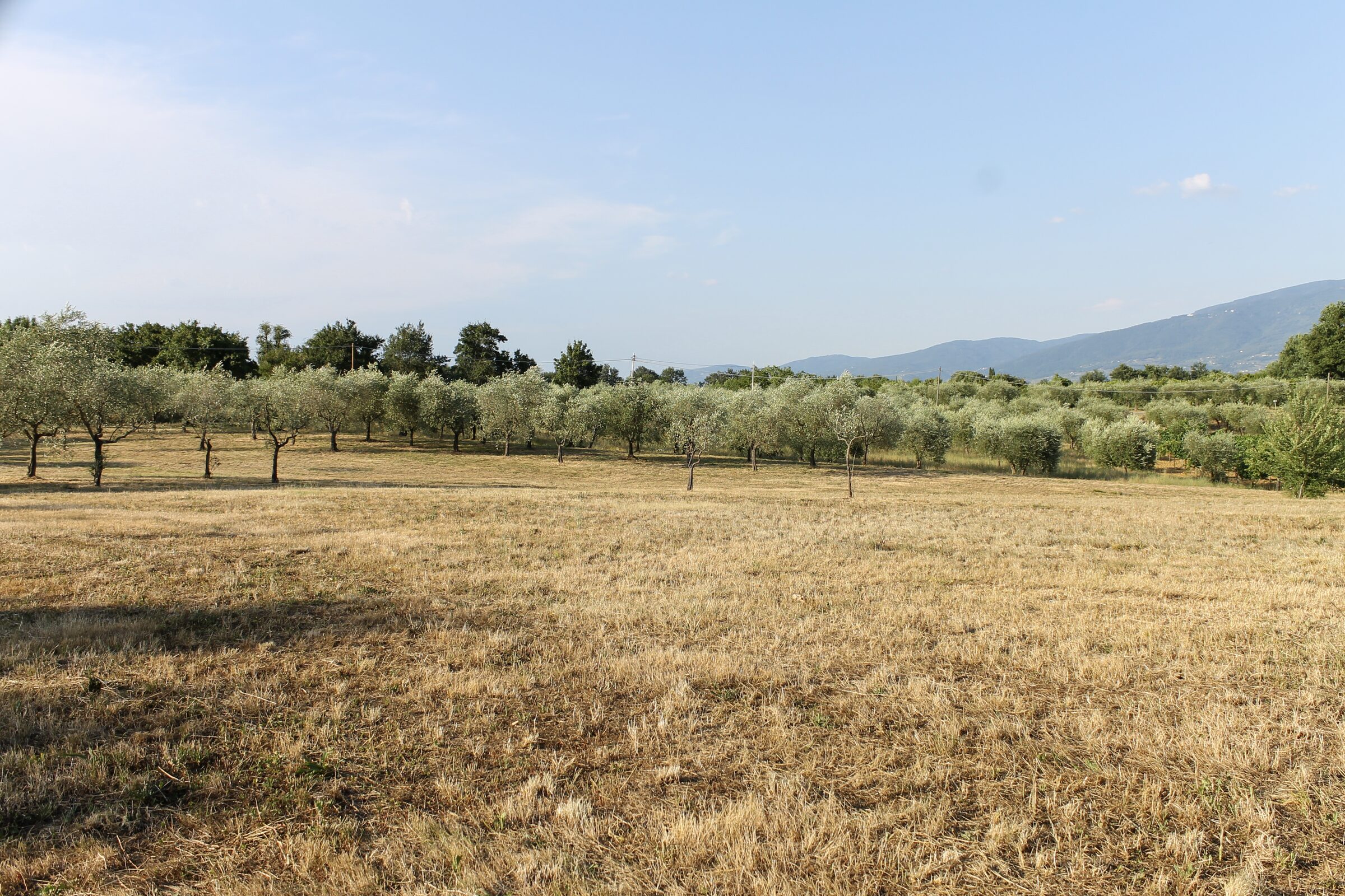 Il paesaggio del Valdarno Superiore